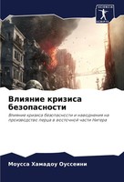 Moussa Hamadou Ousseini | Vliqnie Krizisa Bezopasnosti | Taschenbuch | Russisch