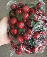 VTG Bag Red Apples Berries Spray Korea NOS Christmas Holiday Wreath Making Sprig