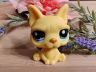 Authentic LPS Littlest Pet Shop #2602 Yellow French Bulldog  — photo 1