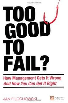 Too Good To Fail? (Financial Times Series) von Fi... | Buch | Zustand akzeptabel