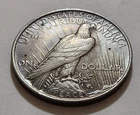 1923 Peace Silver Dollar • Strong Detail • Circulated • X112