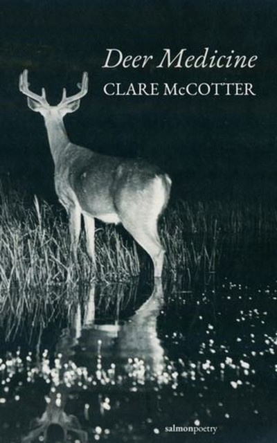 Deer Medicine | PB | 2026 - Image 2