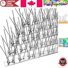 High-Quality Bird Spikes with Full Coverage - Stainless Steel Anti-Bird Solution