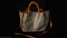 Dooney & Bourke Large Embossed Lizard Barlow ...