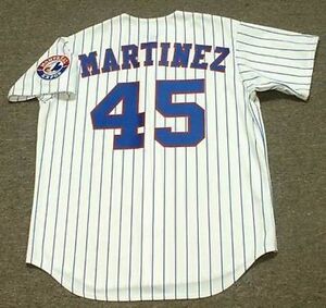 pedro martinez expos jersey