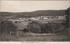 Sherwood Heights Sidney NY 1953 Rural Landscape Homes RPPC Photo Postcard