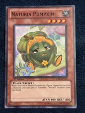 Yu-Gi-Oh! TCG Naturia Pumpkin Starstrike Blast STBL-EN031 1. Auflage Common