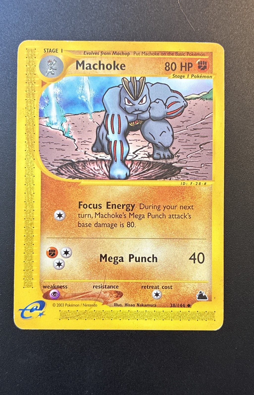 Machoke 38/144 Skyridge Regular