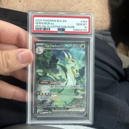 Serperior ex 164/086 PSA 10 Black Bolt Special Illustration Rare
