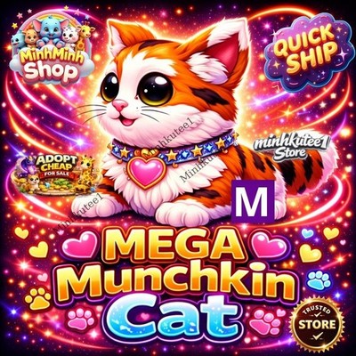  Munchkin Cat | Mega-NFR-Neoon Adopt M1e Cheap Pet | Fast Delivery   Trusted
