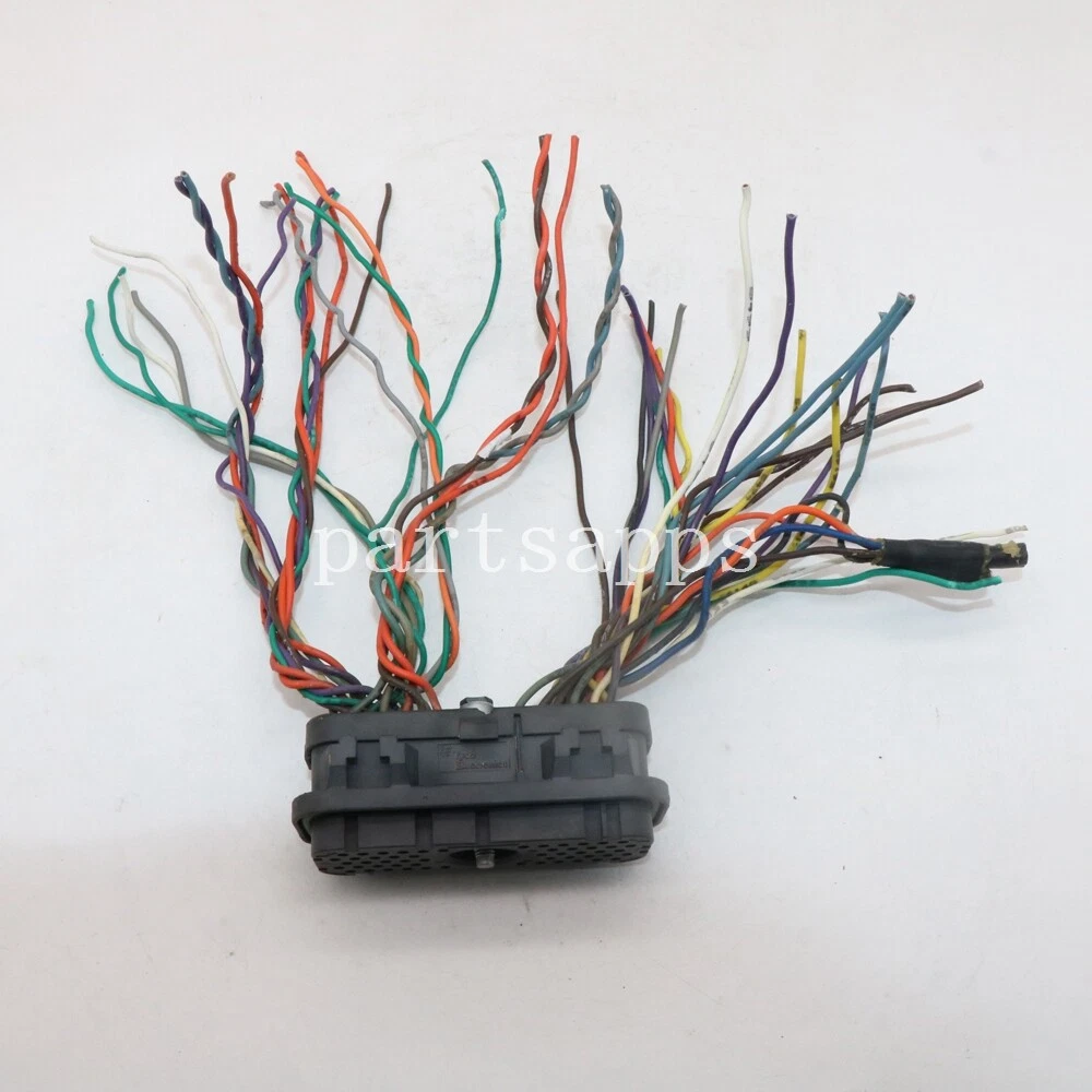 Module plug 2024