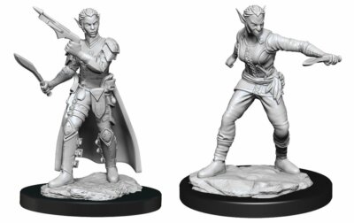 D&D Nolzur's Marvelous Unpainted Miniatures: Female Shifter Rogue
