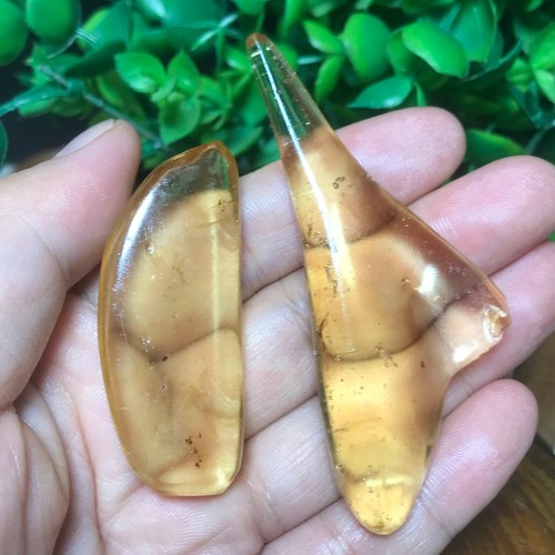 14g Genuine Baltic Amber Polished Nugget Insect Inclusion Rare Specimen ...
