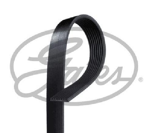 Gates 8PK1295XS V-Ribbed Belt - Image 16