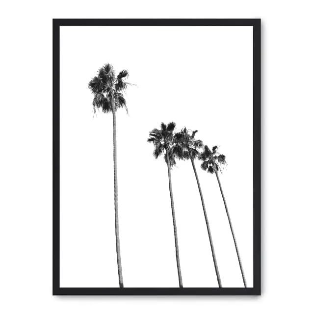 Cuadro palm tree line up ii_FASE5 (R2U)