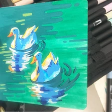 Dual Brush Marker Pens 72 Colors Art Markers Set Fine Tip Adult Coloring Books