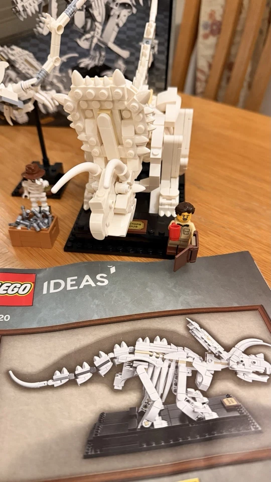 LEGO Ideas 21320 Dinosaur Fossils, photo 2 of 5