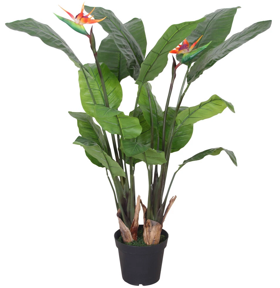 120cm Paradise Plant - 7206