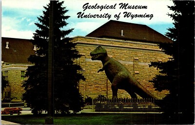 Postcard T-Rex Dinosaur Geological Museum Laramie University Wyoming D32