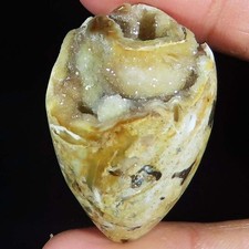 natural FOSSIL SNAIL DRUZY cabochon loose gemstone 120.75 Carat. (28x41x19 mm)