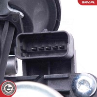 Esen SKV Agr-Ventil 14SKV240 FüR CitroËN Ford Mazda Mitsubishi Peugeot Volvo
