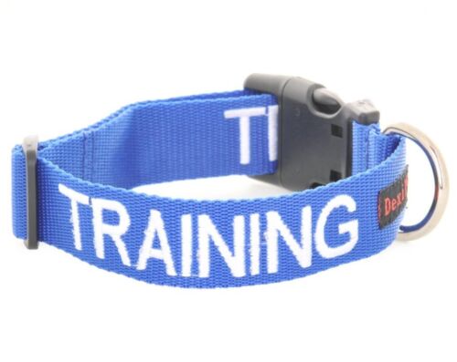TRAINING Blue Color Coded, Buckle Dog Collar, Size S-M, (Do Not Disturb) - NEW - Picture 1 of 1