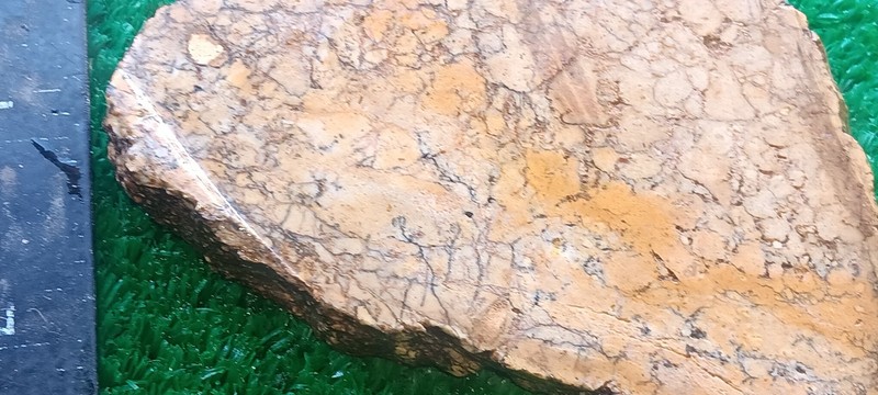 Rough Slab Yellow Dendritic Jasper 116g. 5/16" Thick Lapidary Cabbing #B-4