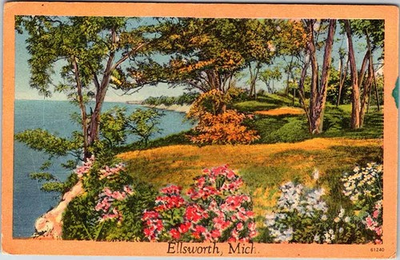 #ad Postcard WATER SCENE Ellsworth Michigan MI m 09 AL2184 $2.29