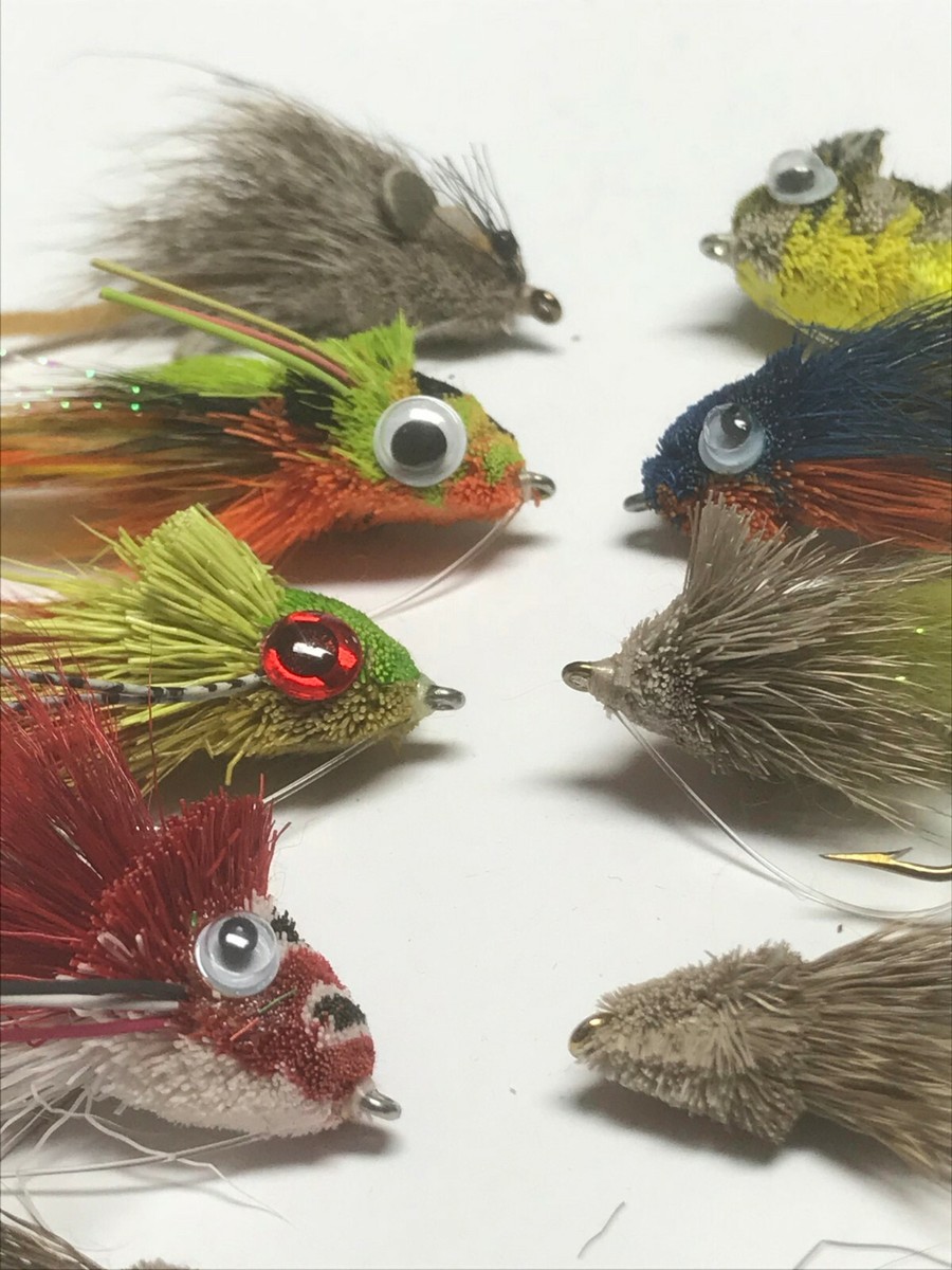 Streamer à brochet - émotions fortes garanties - Ardent Fly