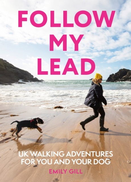 Follow My Lead by Emily Gill (Paperback Book)