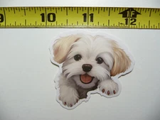 PEEKING MALTESE SMALL STICKER DECAL PUPPY DOG PET LOVE PEEK A BOO