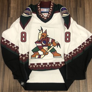 phoenix coyotes kachina