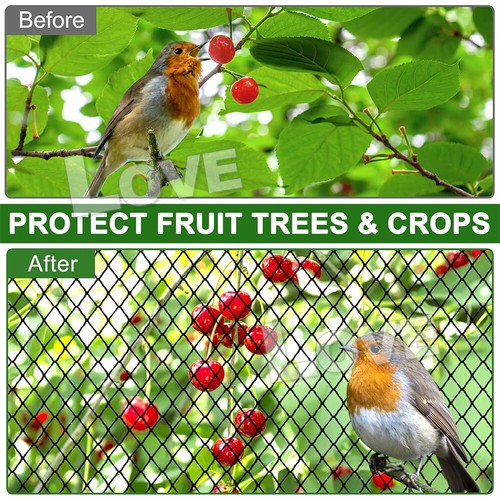 Bird Netting Net Anti Pest Commercial Fruit Trees Plant 10m/20m/30m Mesh Black - Picture 6 of 14