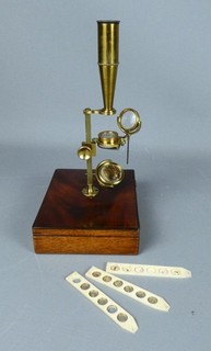 Vintage G & C Dixey Field or Botanical Compound Microscope with Case c1830 #6291