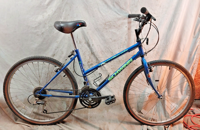 Schwinn Woodlands MTB Bike Medium 17