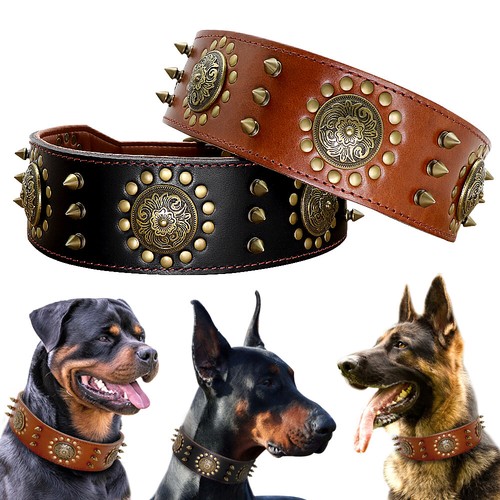Camo Spiked Dog Collar at Regena Rudolph blog