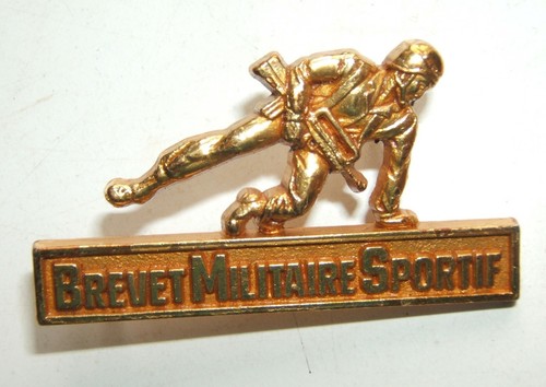 INSIGNE ARMEE DE TERRE / BREVET SPORTIF MILITAIRE NEUF EUR 1,99 - FR