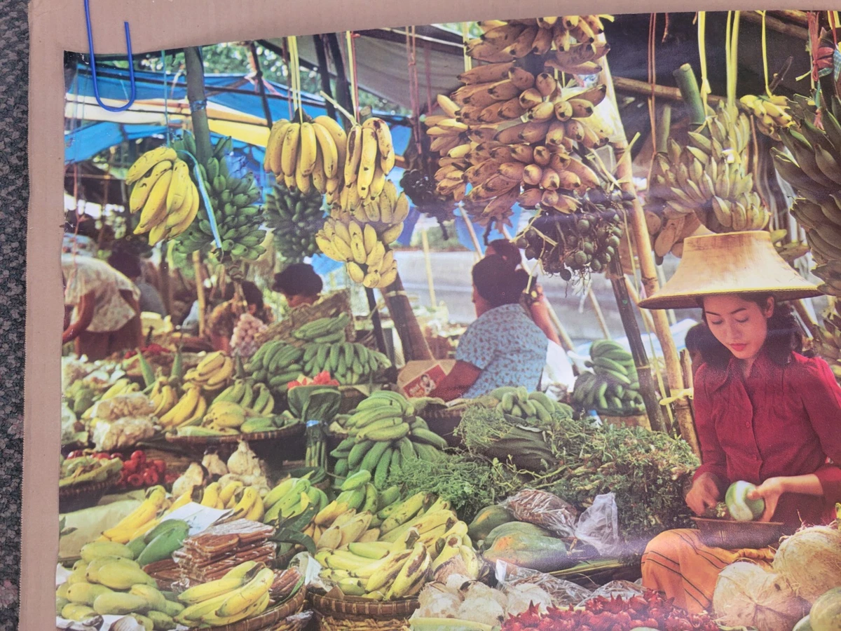 Thailand Paradise Of Tropical Fruit Poster 35.5 x 24 Yun Hee Press Fine  | eBay