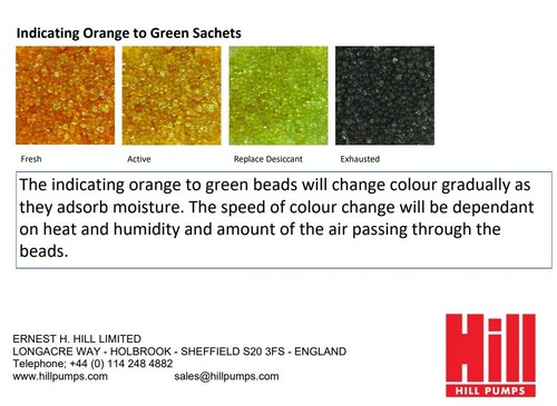 Le Décolleté Gianvito Rossi In Camoscio Perfette Per L'autunno - Foto 11