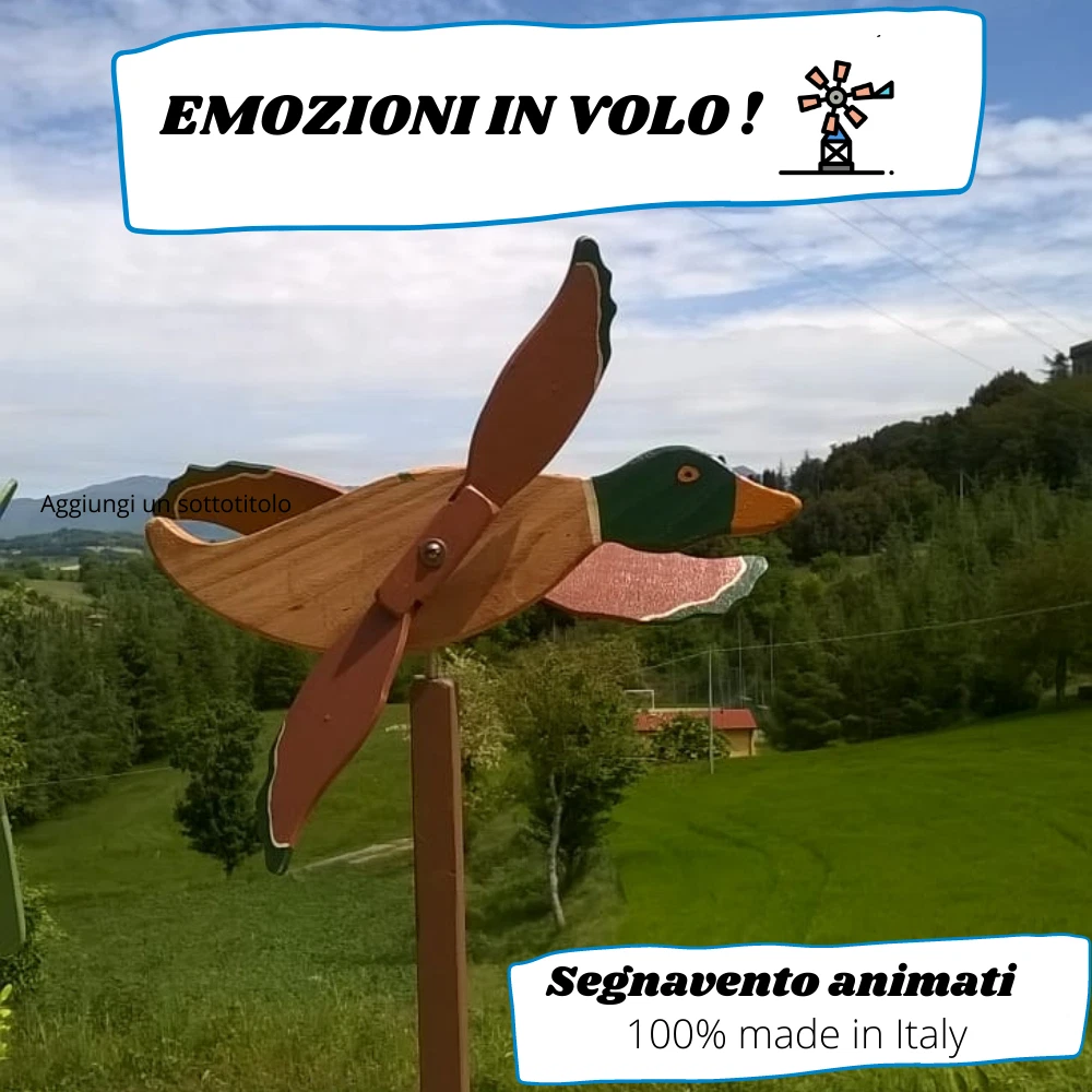Foto 1 di 4