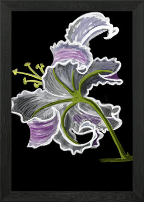 ''Lily Blossom'' Jamies handgezeichnetes F gerahmtes Wandbild Poster Leinwanddruck Bild
