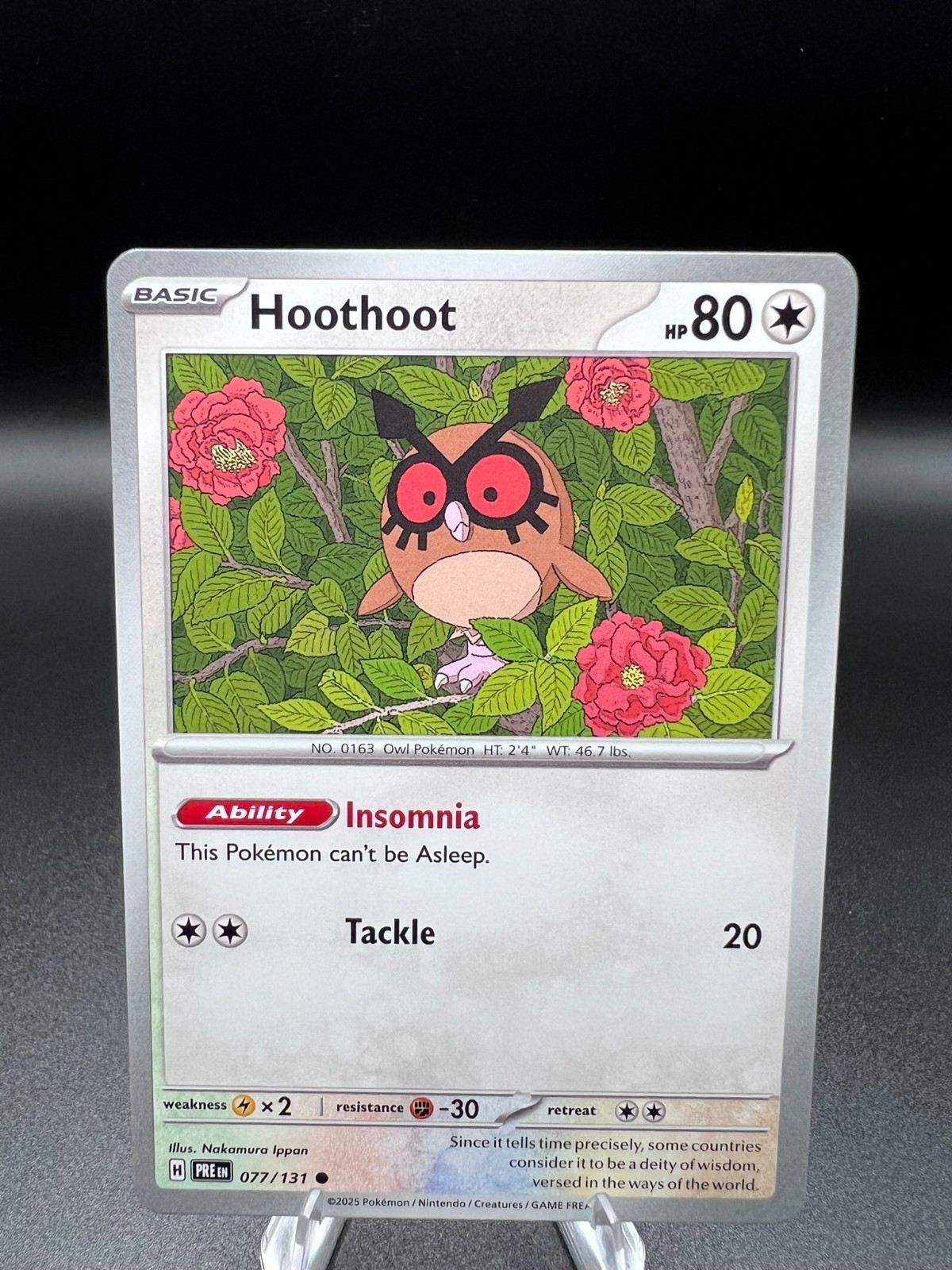 Hoothoot Common SV: Prismatic Evolutions 77/131 NM