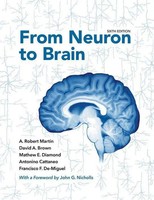 A. Robert Martin (U. A.) | From Neuron To Brain | Buch | Englisch (2021)
