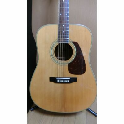 Electric Acoustic Guitar Morris MD-301N Natural Made in