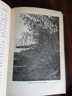 Foto 11 di 11
