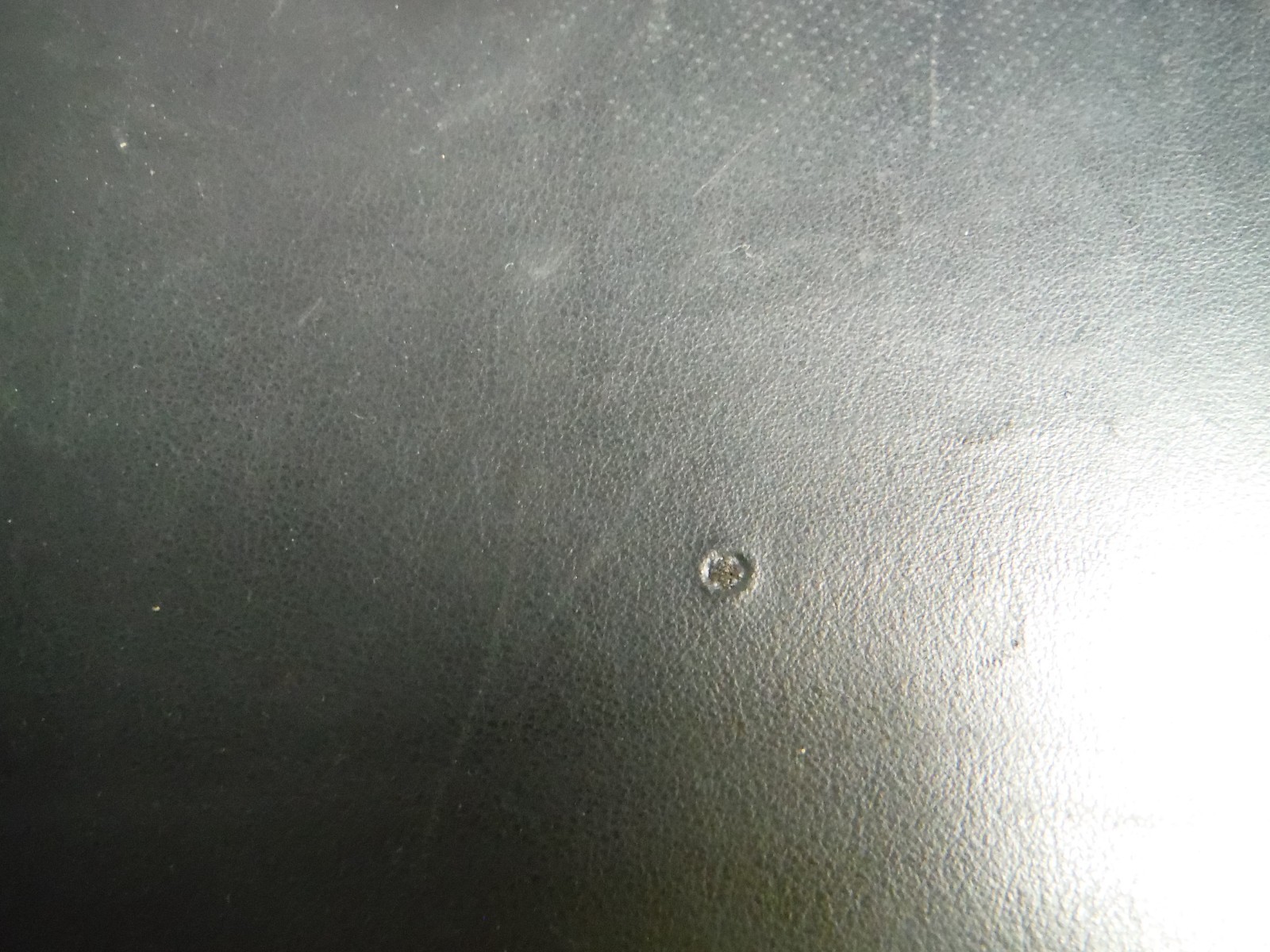 Picture 3 of 15