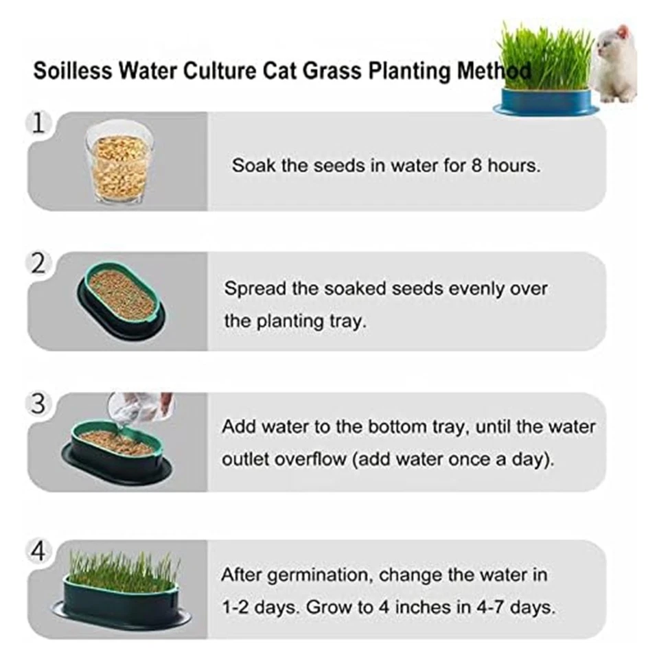 4Pcs Grass Planter Catnip Wheatgrass Seed Sprout Tray Hydroponic Grass1934 - Image 3 of 4