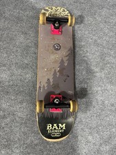 Vintage Element Bam Margera Skateboard Future...
