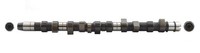 AE Nockenwelle CAM630 AAS FüR 7DK 7DJ CN 100 DE 3D 7DB C2 NC T4 70B Audi 70K VW