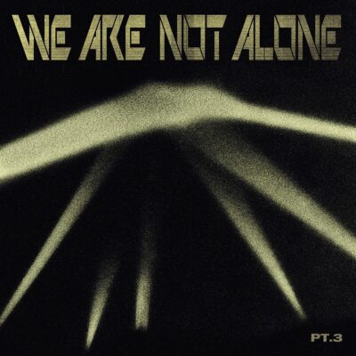 Various We Are Not Alone-Part 3 (Schallplatte) 12'' Album